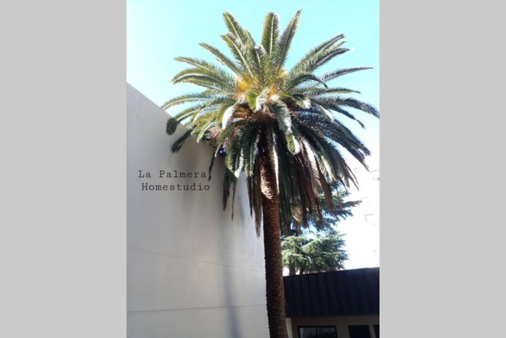 La Palmera Homestudio. Hermoso Apartamento En El Corazon De Palermo Hollywood بوينس آيرس المظهر الخارجي الصورة